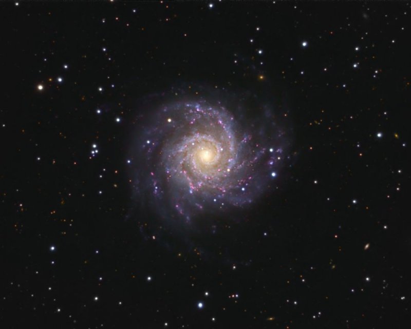 M 74