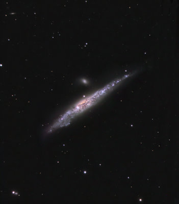 NGC 4631 by The Hole in the Trees Skybox