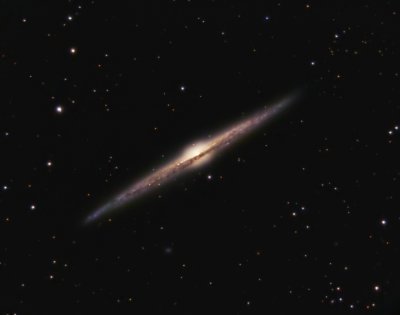 NGC 4565