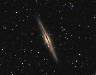 NGC 891 by The Hole in the Trees Skybox