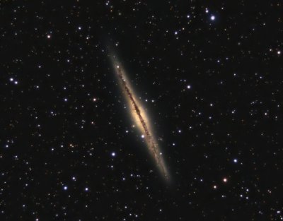 NGC 891