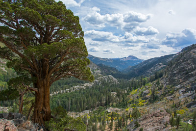 Looking back on the trail to Shadow Lake.