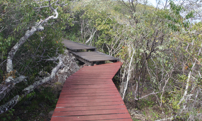 Giant Tortoise Research Centre