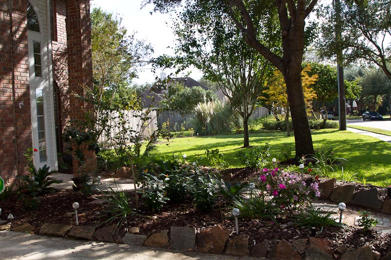 Front garden