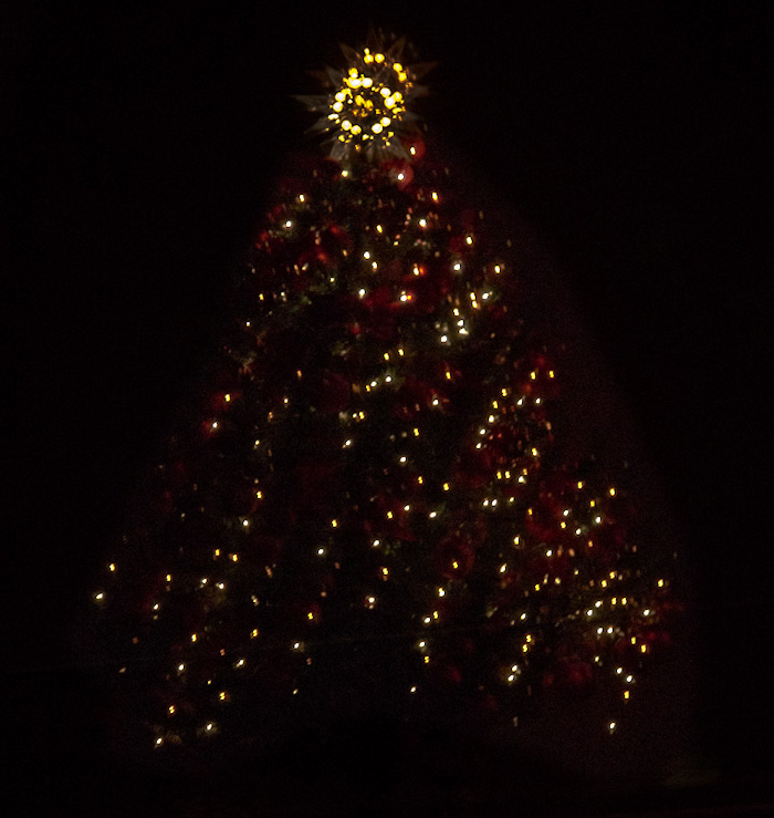 Christmas reflection in a window.