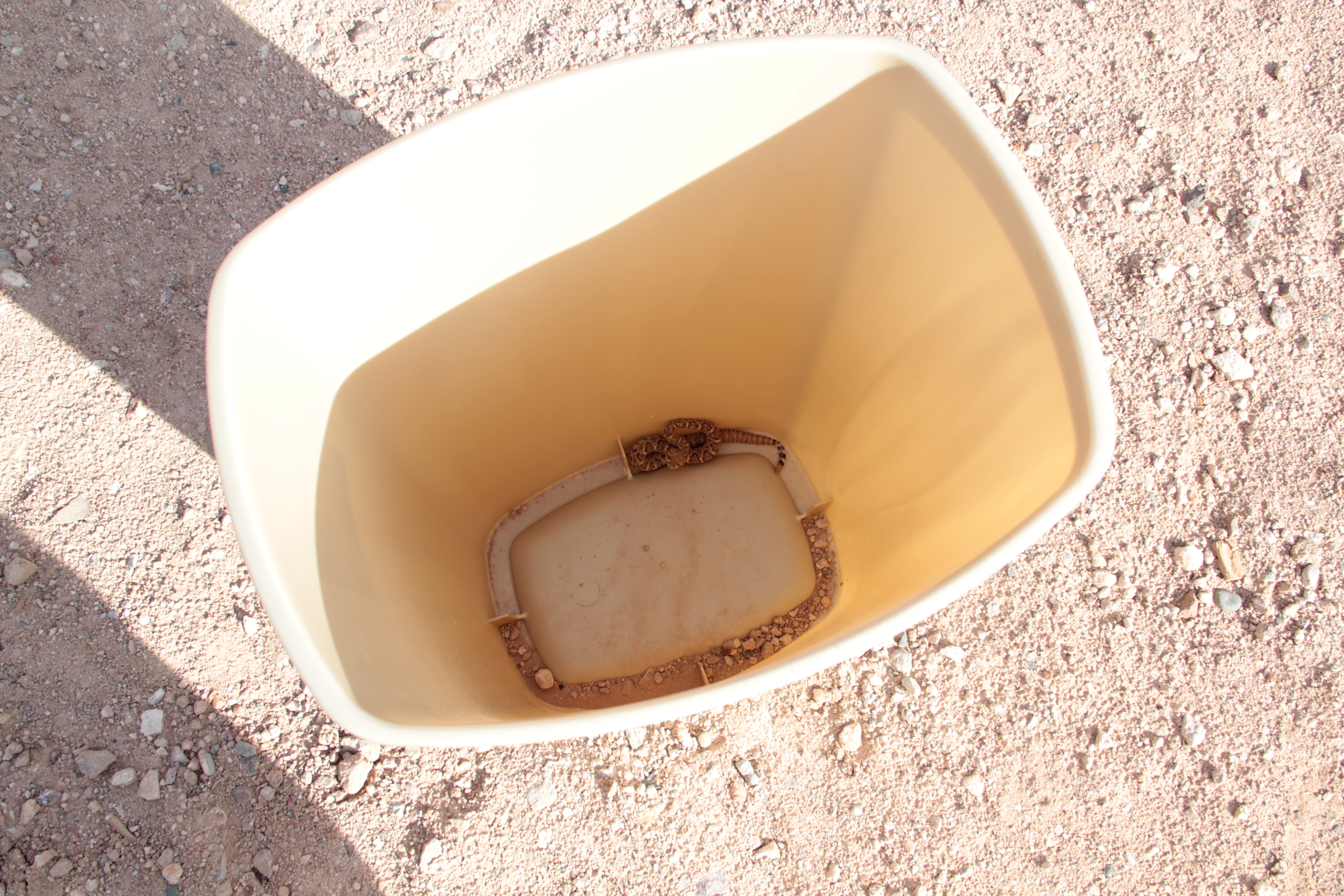 Used the trash can as a scoop