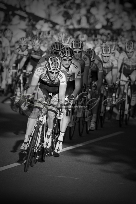 Peloton (BW_CCC11_100_1484)