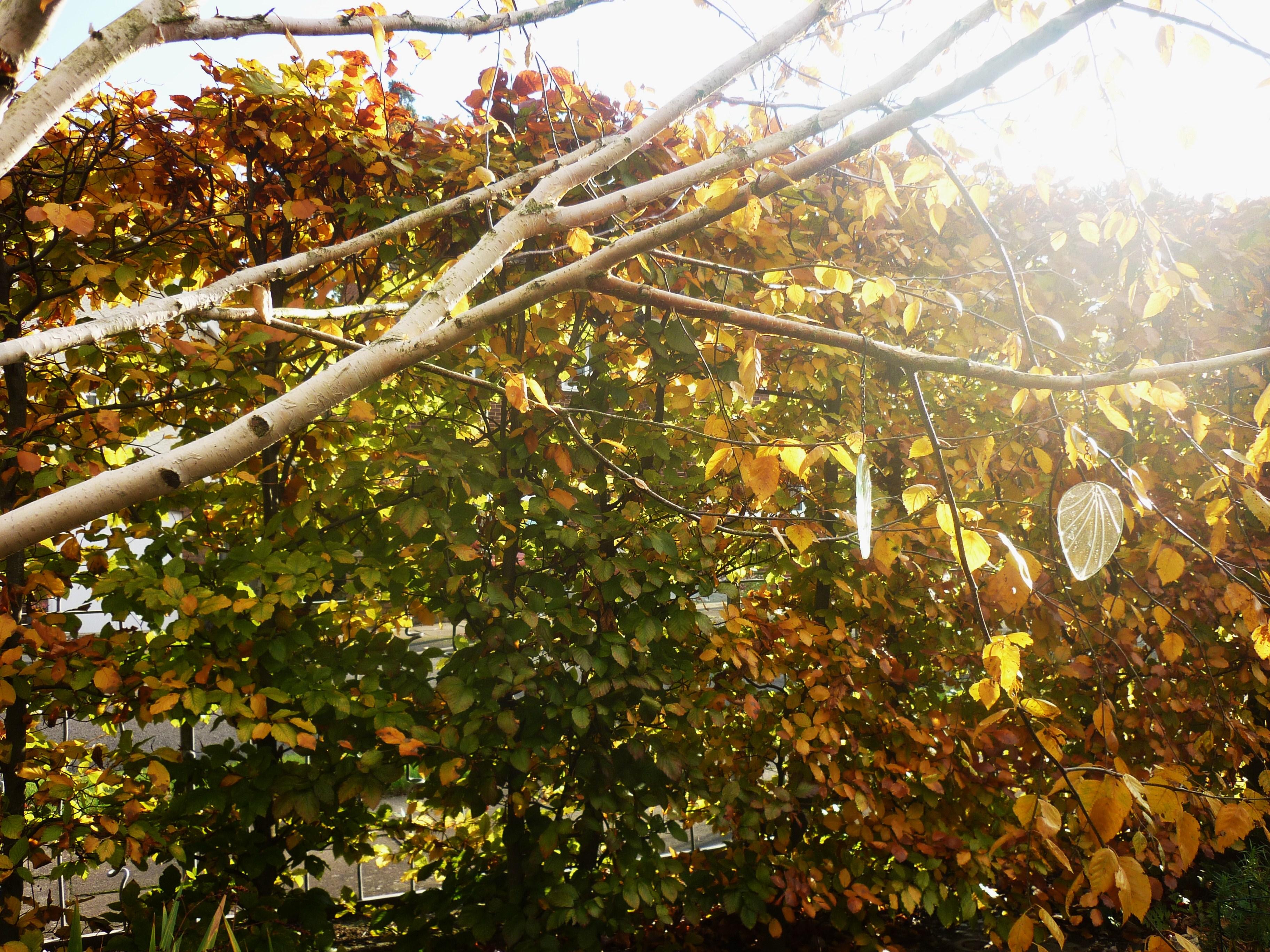 P1060928 - Copy.JPG