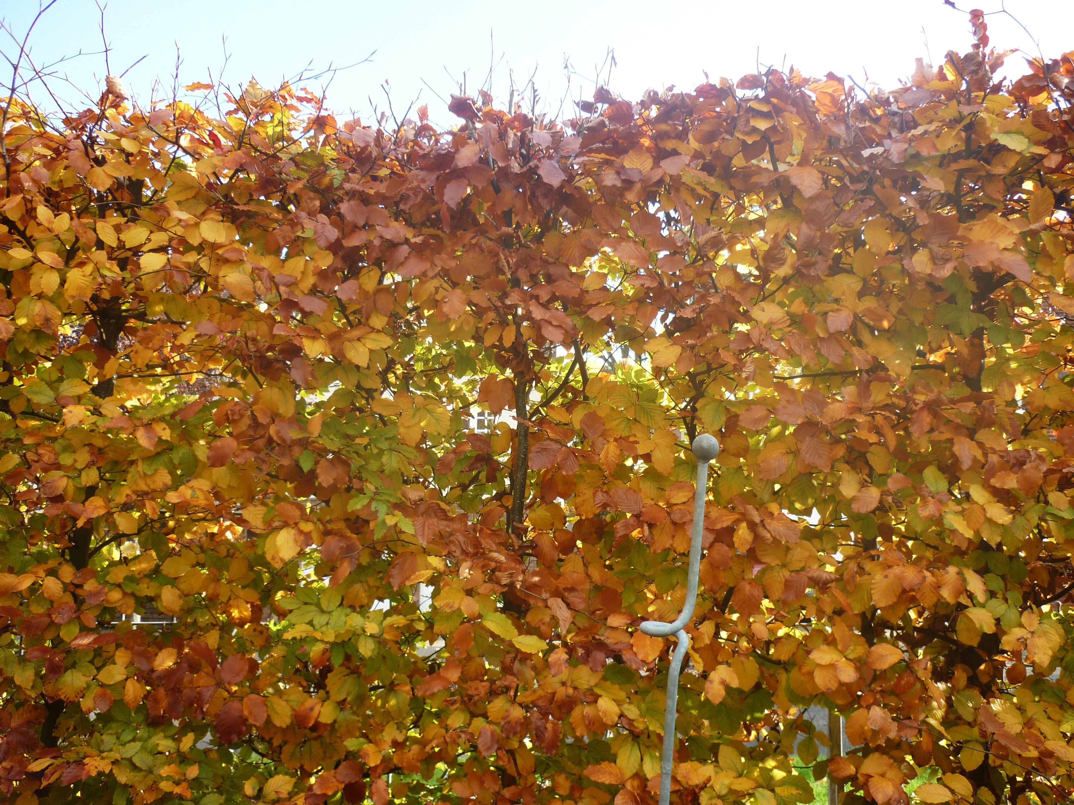 P1060929 - Copy.JPG