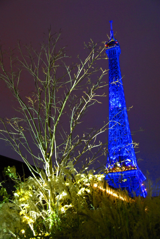 Tour Eiffel-065.jpg