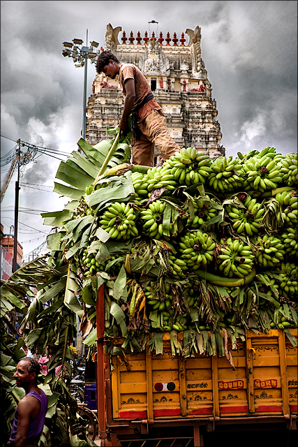 Banana delivery