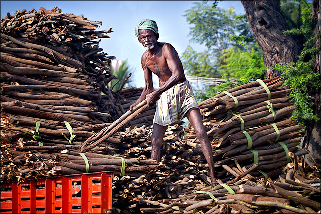 பாரஊர்தி மரக்கட்டை