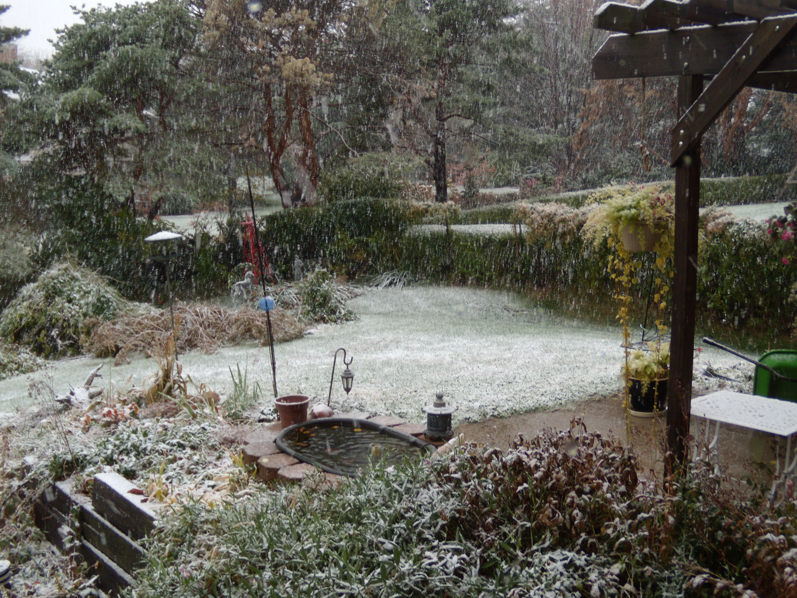 First Snow November 2, 2011