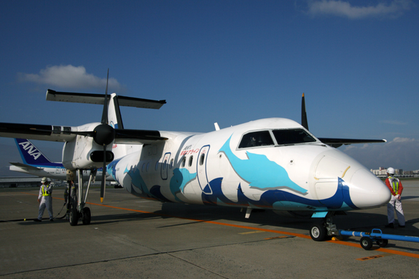 AMAKUSA DASH 8 100 FUK RF IMG_6277.jpg