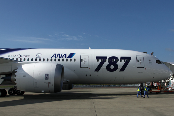 ANA BOEING 787 8 OKJ RF IMG_1479.jpg