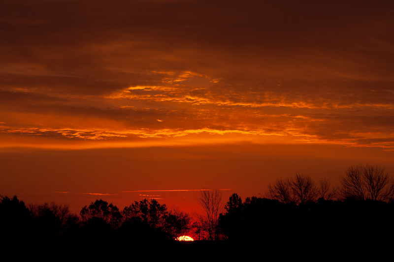 IMG_9670web.jpg