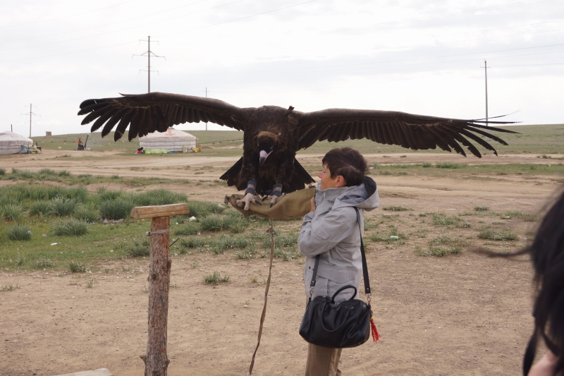 Mongolie