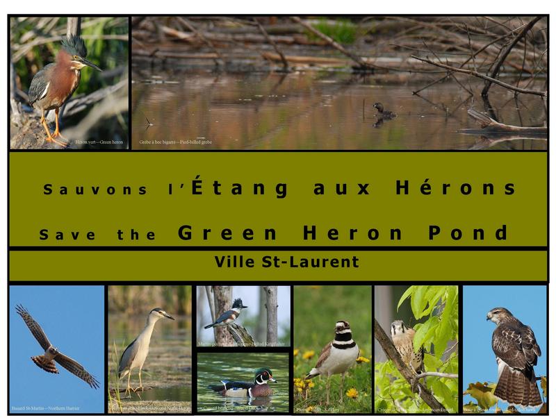 Ltang aux Hrons (Green heron pond)