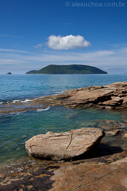 Cedro, Ubatuba, Sao Paulo, 9701.jpg