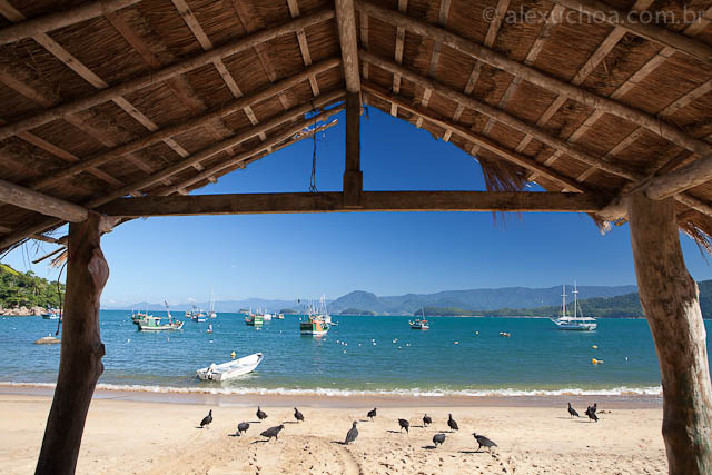 Picinguaba, Ubatuba, Sao Paulo, 9696.jpg