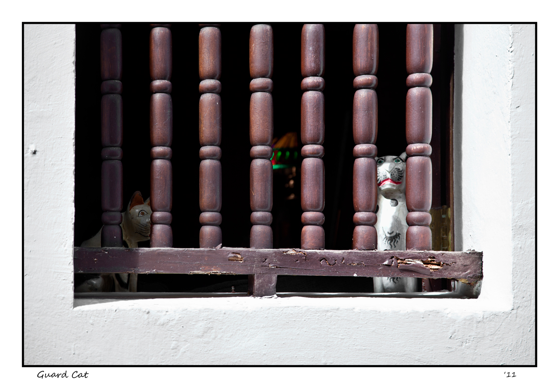 Guard Cat