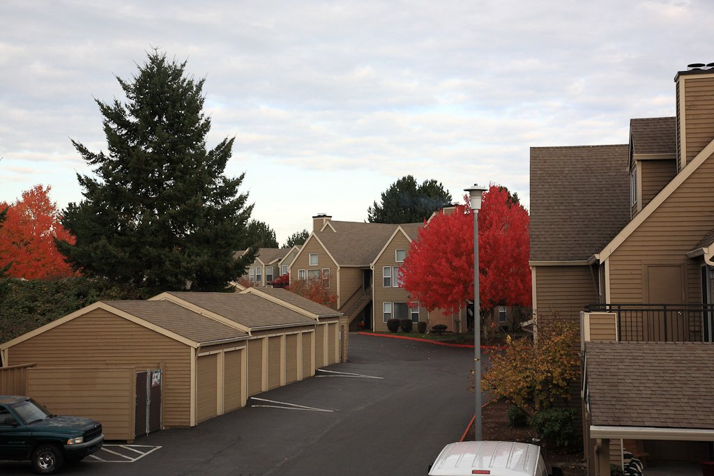 Nov 8 2011 Overcast Exposures-005-jpeg.jpg