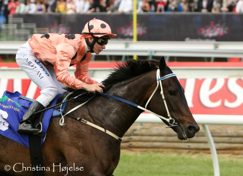 7578t.jpg (Flemington 6th November 2010)