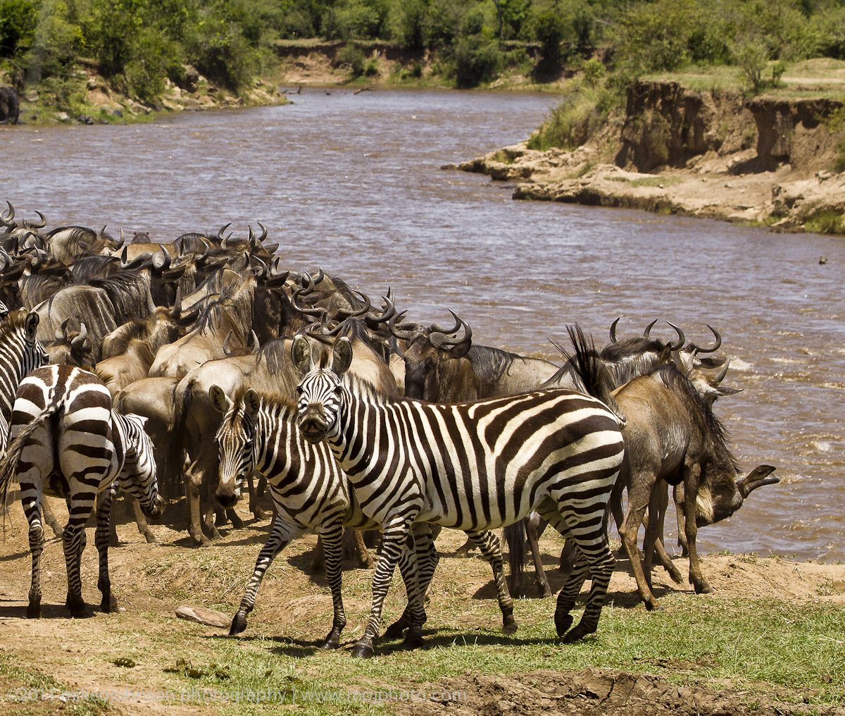 146-At the Crossing.jpg