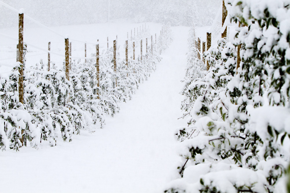 October Snow