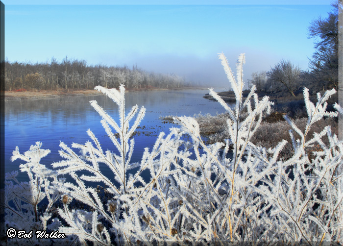 Hoar Frost In The Adirondack Park