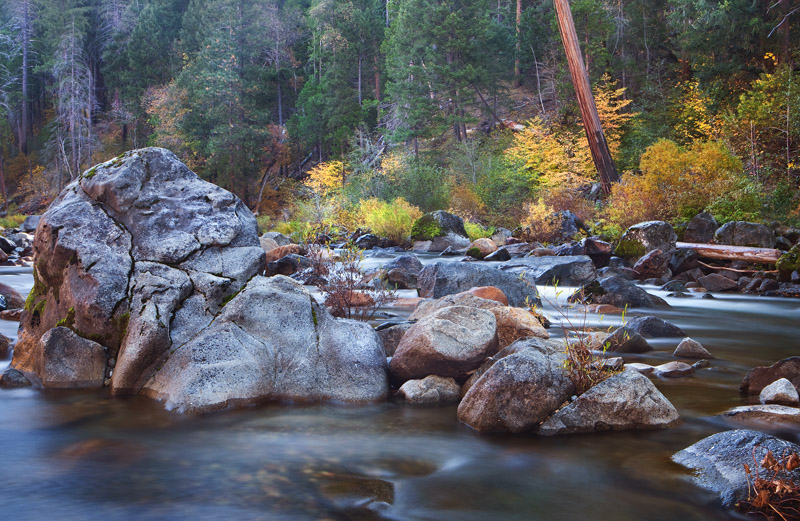 The American River