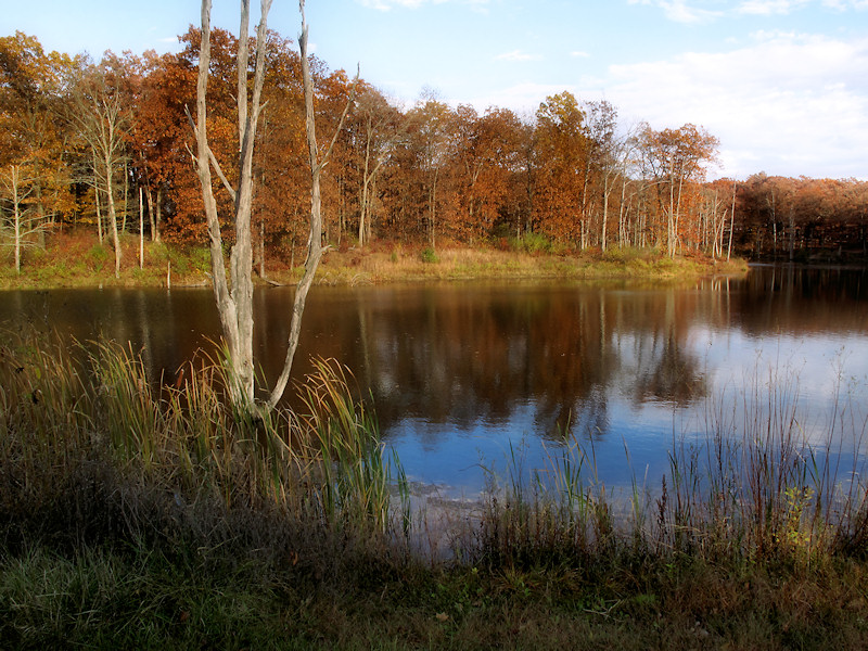 A Favorite Area