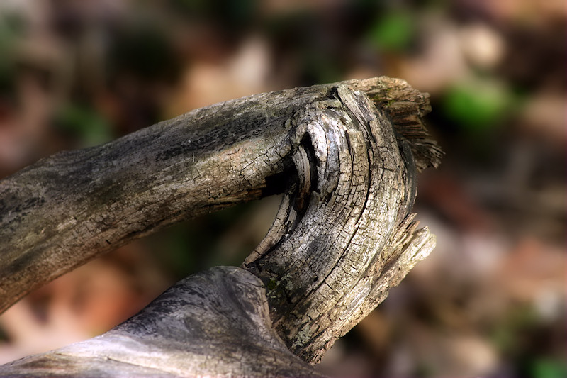 Twisted