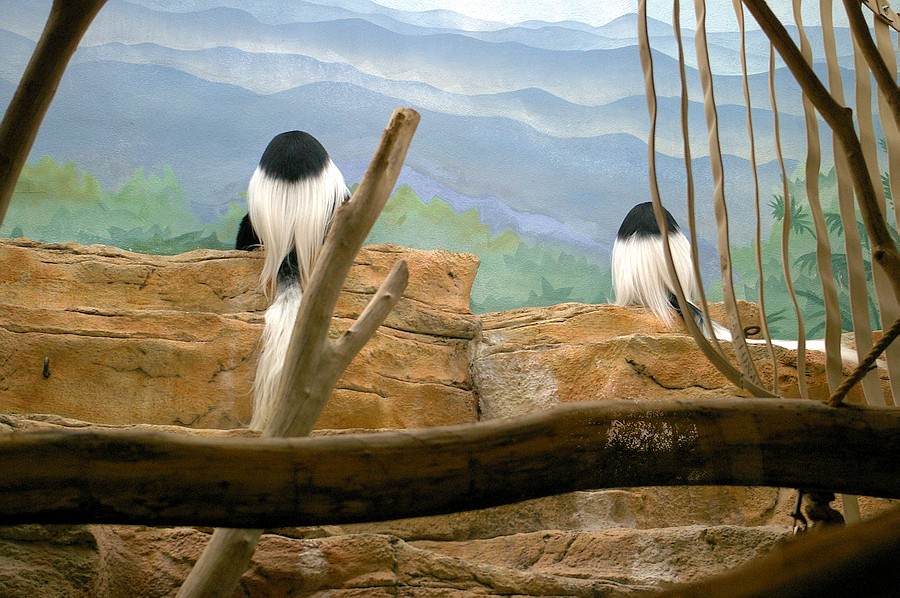 5347_backsides.JPG
