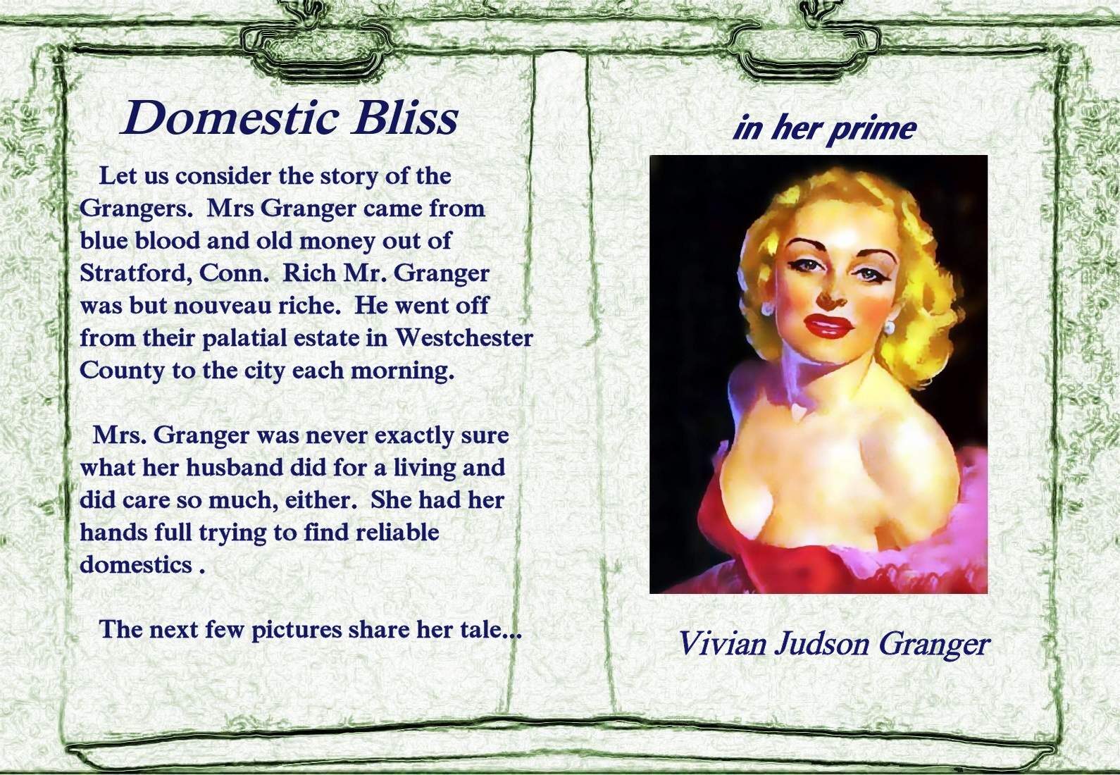 domestic bliss: book 1