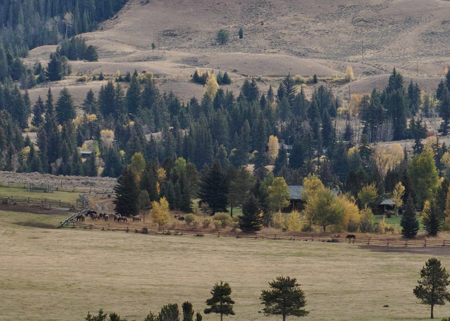Red Hills Ranch Crop (SD1)