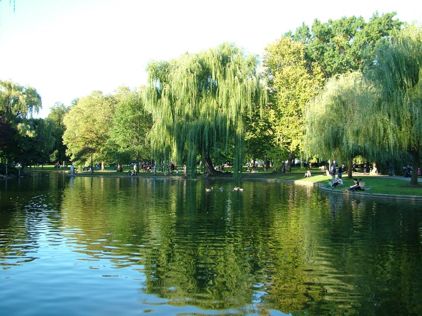 Bostons Public Garden