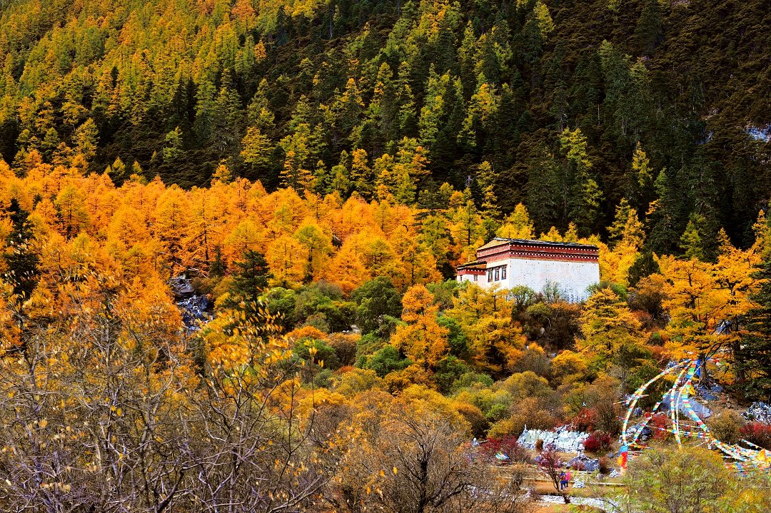 Chonggu Monastery, Yading 沖古寺