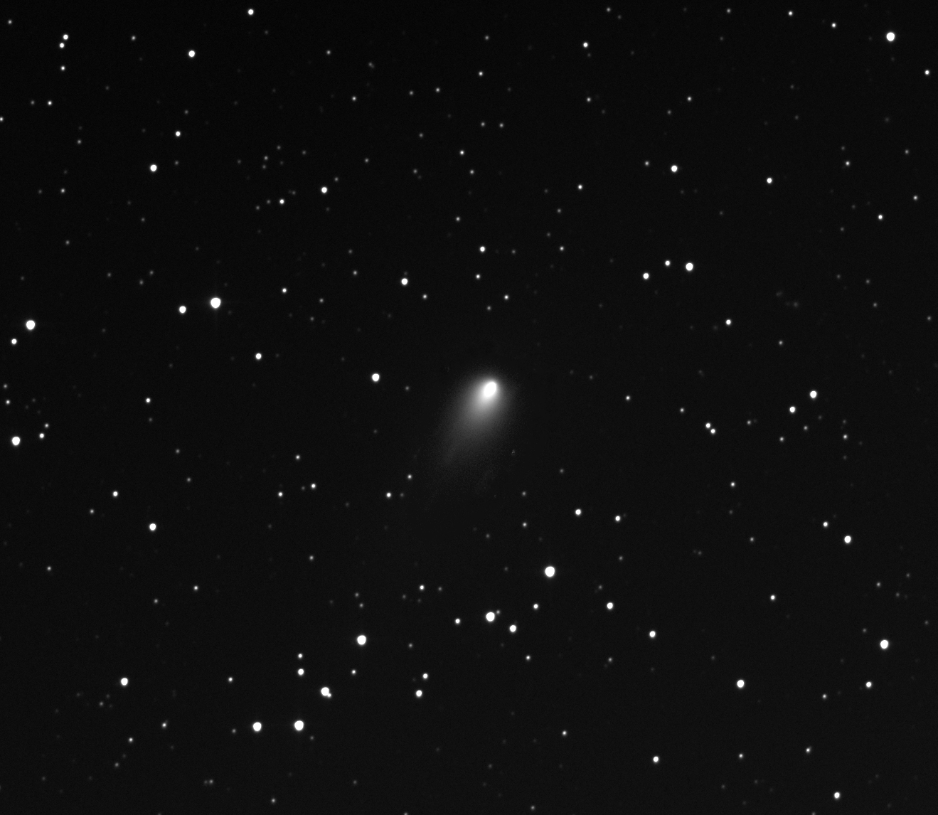 Comet 168P/Hergenrother (Cropped)