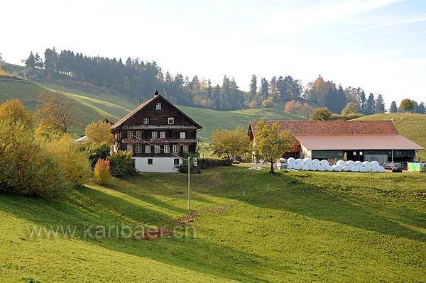 Ziegelhof (118098)