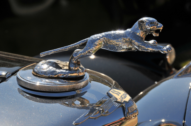 1938 SS Jaguar 2.5L Drop Head Coupe, Robert & Jeri Herold, Chesterfield, MO, European Pre-War (1024)
