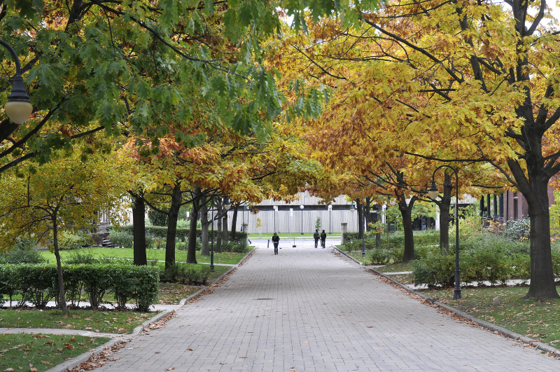 St. Michaels College, University of Toronto