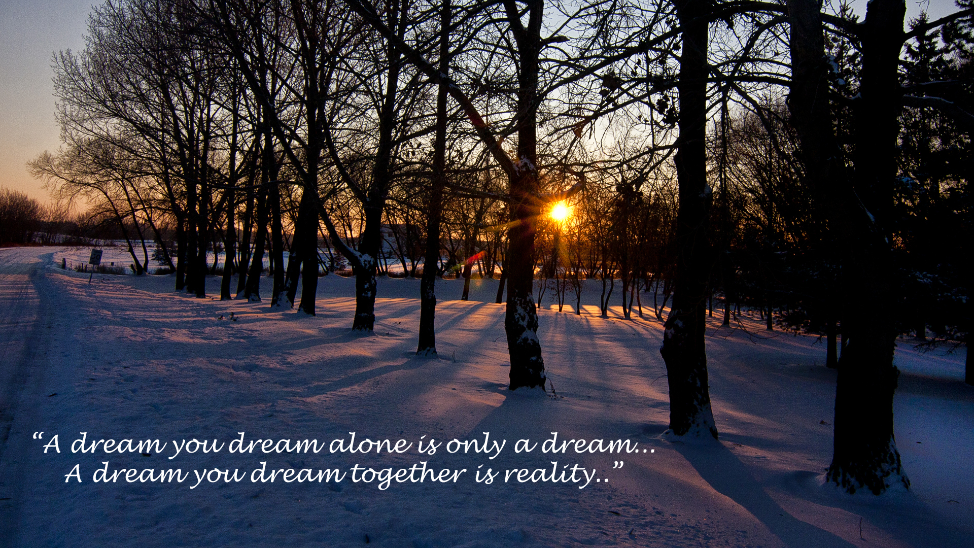Dream Together