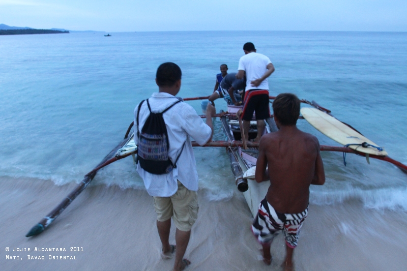 Chasing Dolphins (Mati)