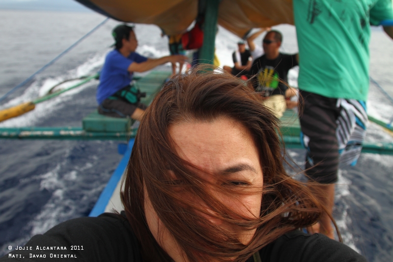 Chasing Dolphins (Mati)
