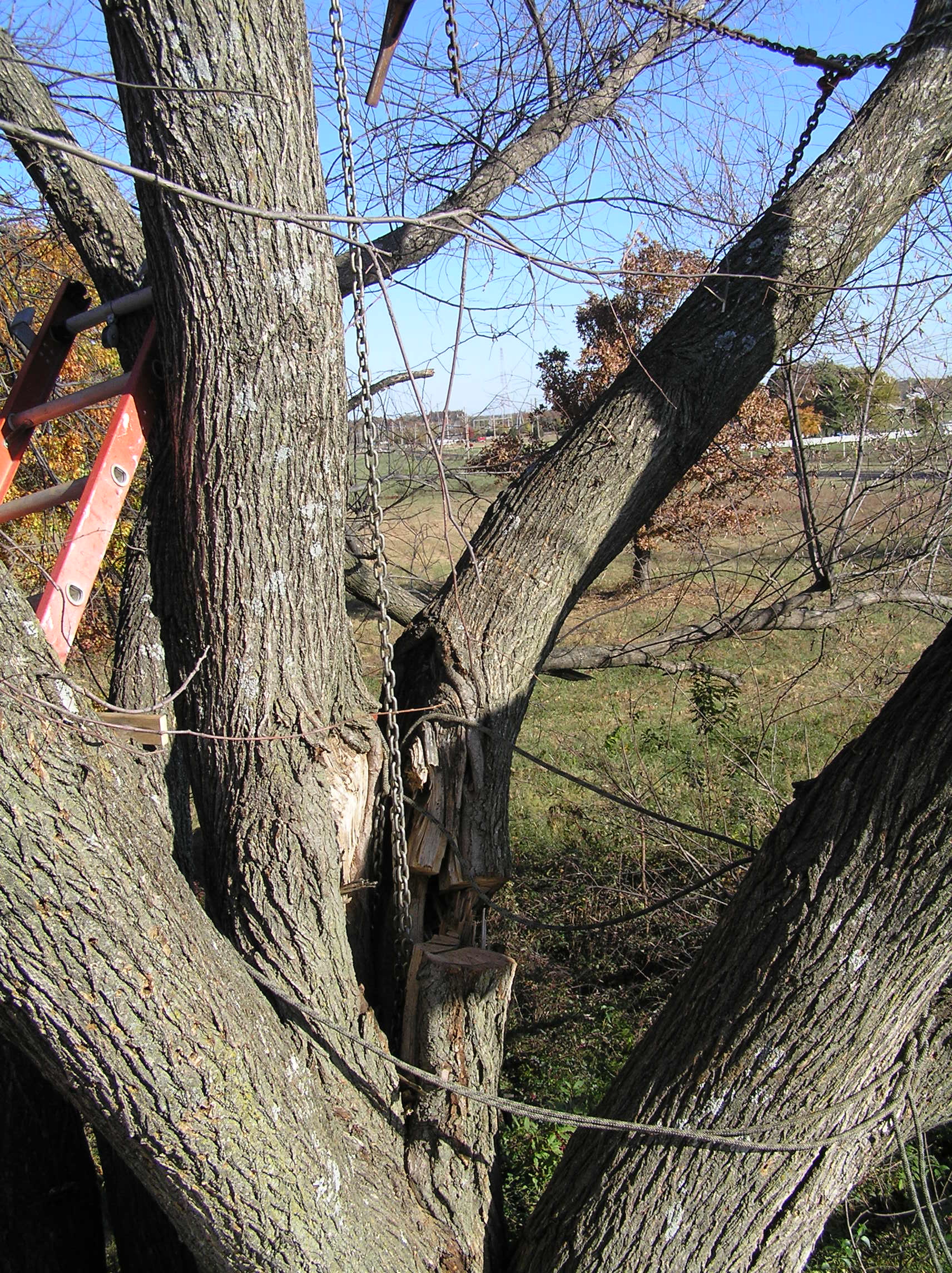 PA310053.JPG