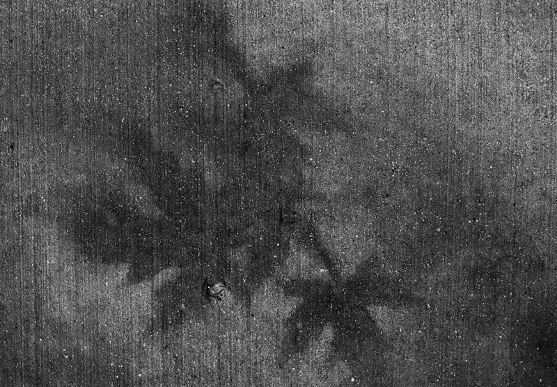 o1/25/829825/1/139559056.4LvQJbm4.20111111_1001445.jpg