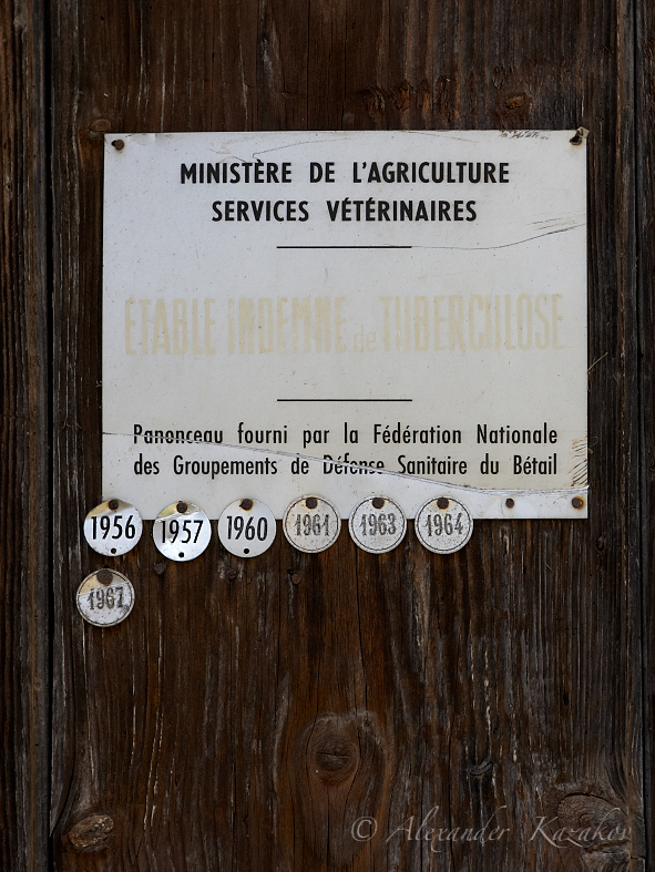 FRA_02BR2899.jpg