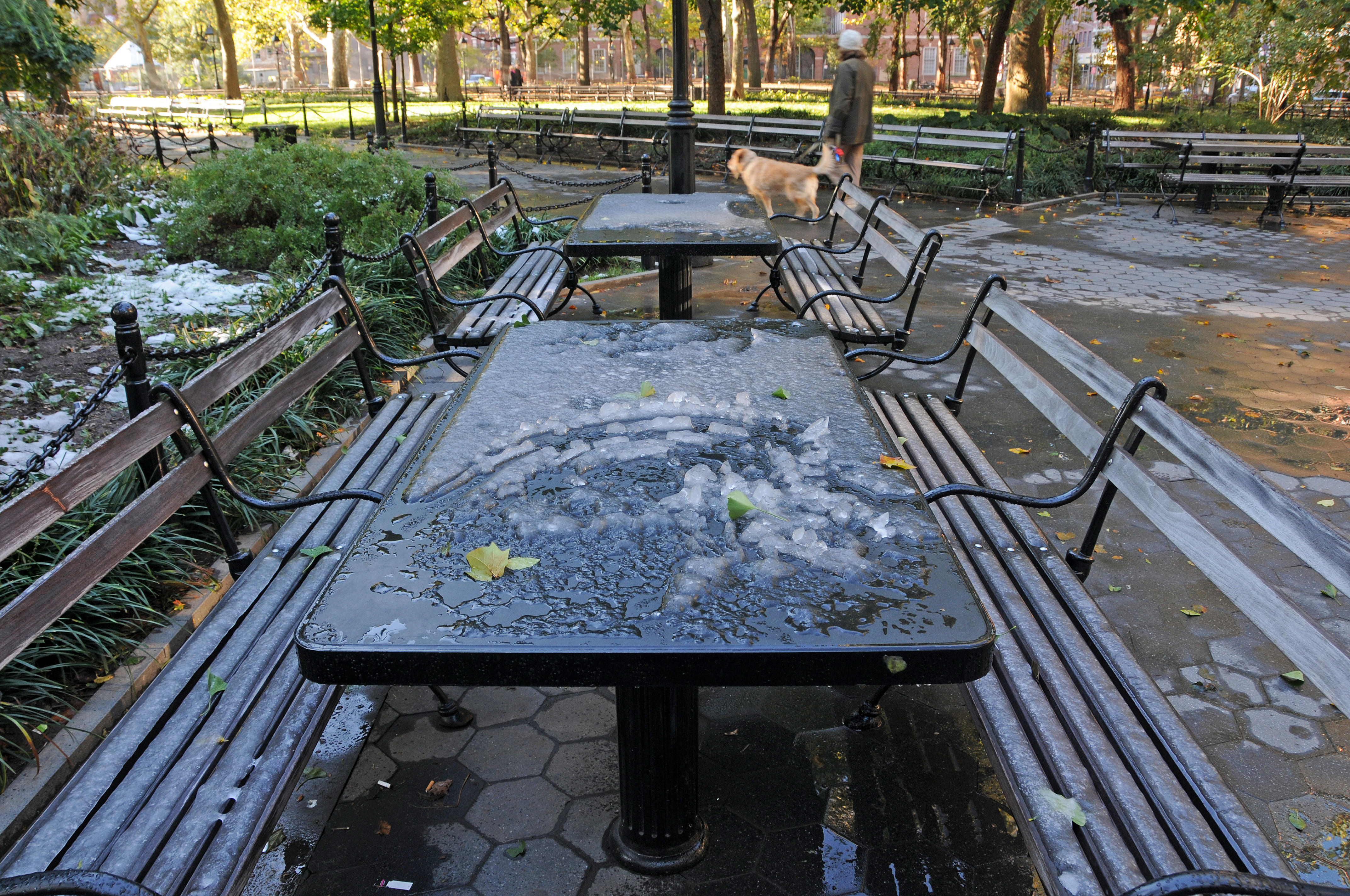 DSC_6363.JPG