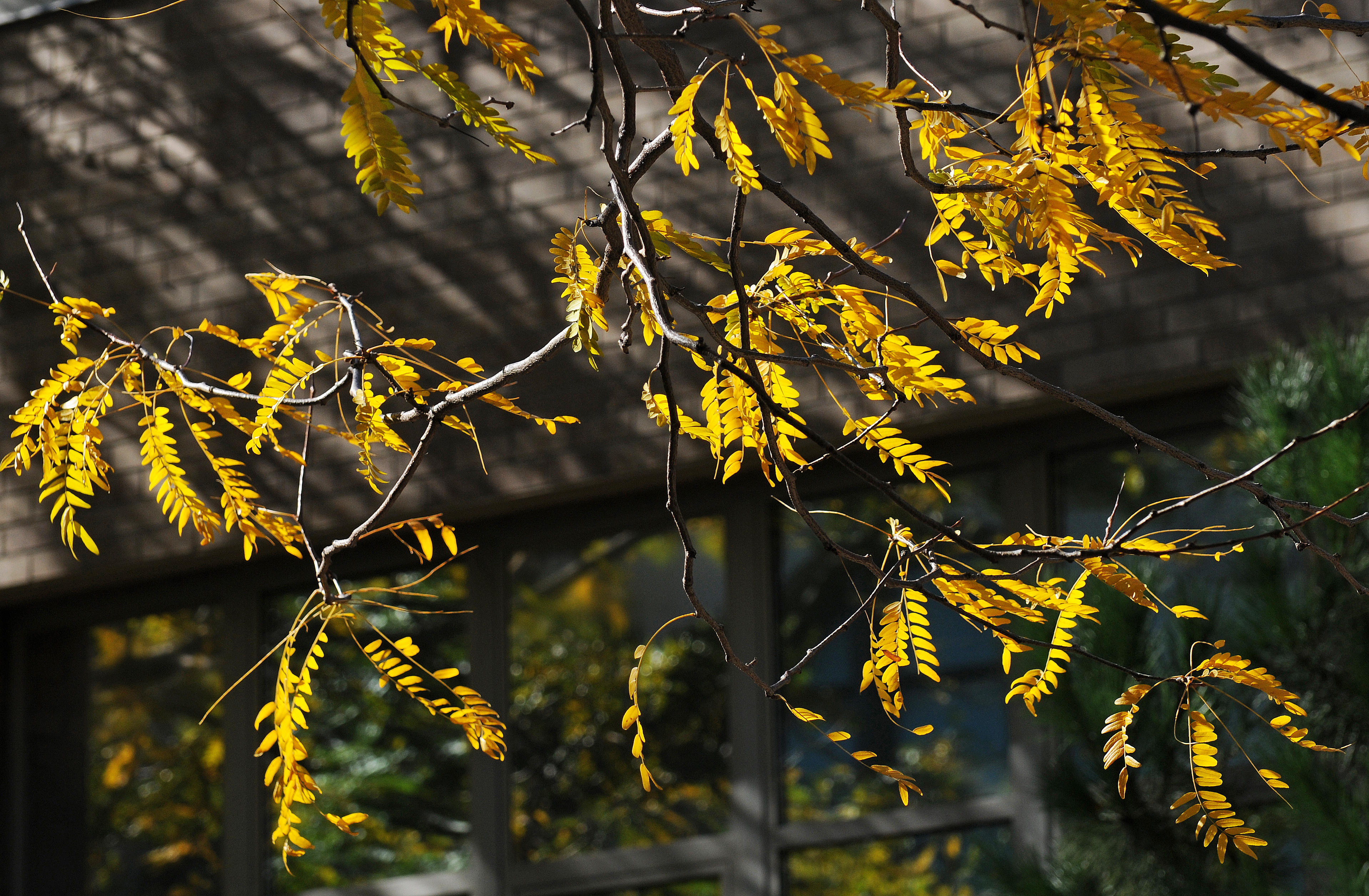 DSC_6412.JPG